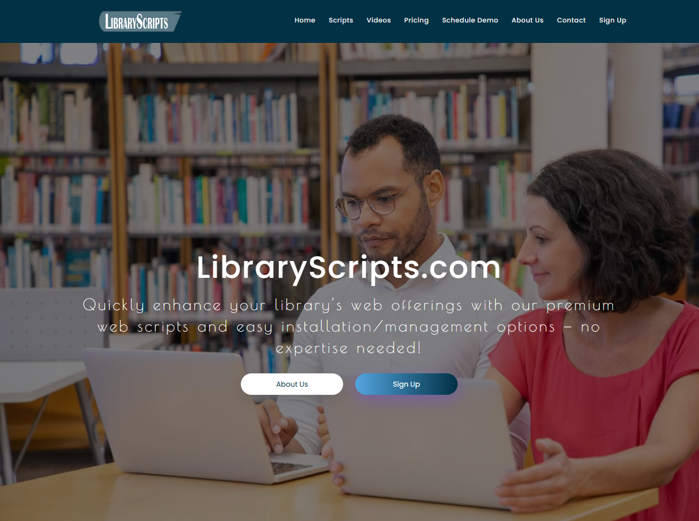 Screenshot of the LibraryScripts.com website, with a subtitle that reads: "Quickly enhance your library's web offerings with our premium web scripts and easy installation/management options - no expertise needed!"